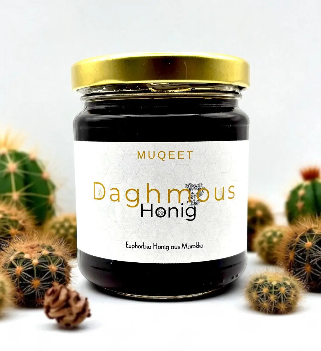 Daghmous med (Euphorbia)