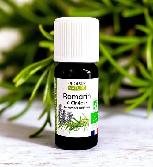 Ätherisches Bio Rosmarinöl