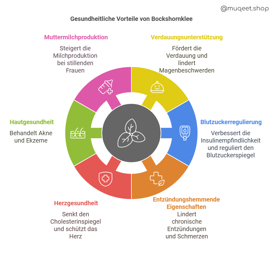 Bockshornklee gesundheitliche Vorteile