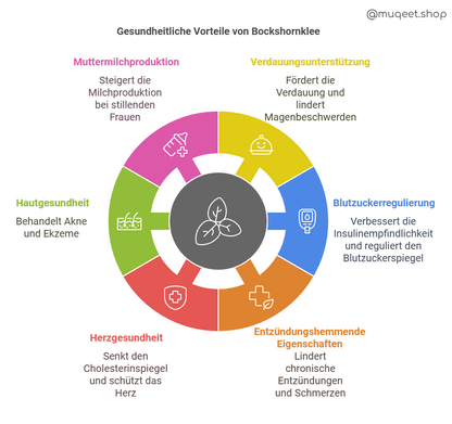 Bockshornklee gesundheitliche Vorteile