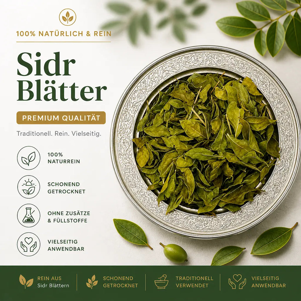 Sidr Blätter Jujube Ziziphus